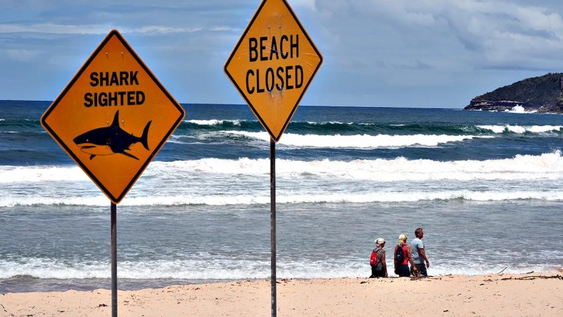 Australia shuts dozens of east coast beaches after shark attacks