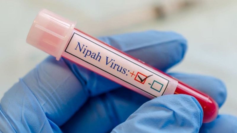 Sri Lanka boosts vigilance after Nipah virus reports in India