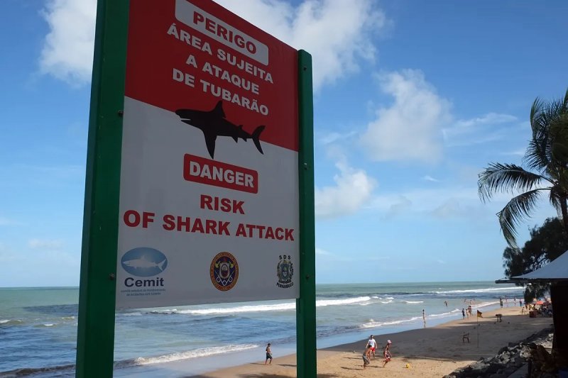 Boy, 13, dies after shark attack in northeastern Brazil