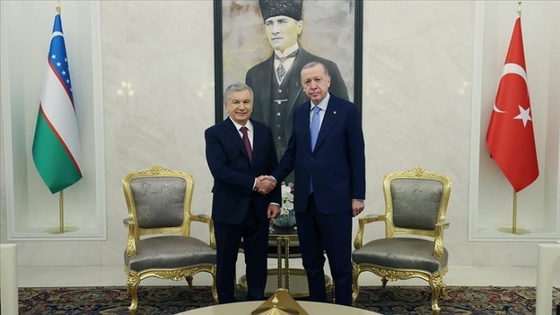 Turkic world will leave its mark on this century, Erdogan says
