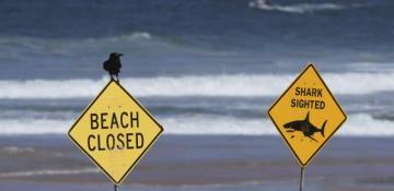 Man in critical condition after third Sydney shark attack