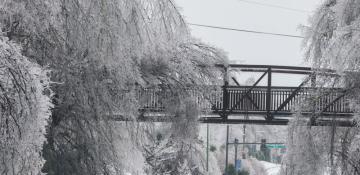 Severe winter storm leaves 30 dead, millions without power in U.S.