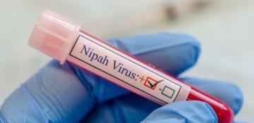 Sri Lanka boosts vigilance after Nipah virus reports in India