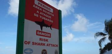 Boy, 13, dies after shark attack in northeastern Brazil