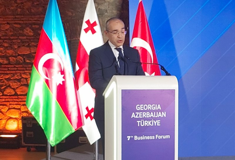Azərbaycanın iqtisadiyyat naziri Gürcüstandakı biznes-forumda Xocalı soyqırımından danışıb