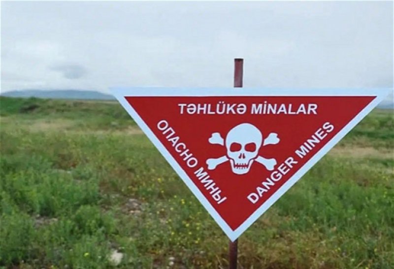   Landmine threat in Azerbaijan’s liberated territories: Risks and recovery  