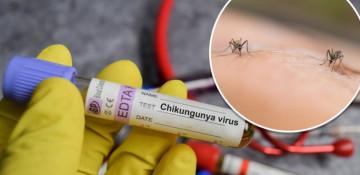 Bolivia confirms three deaths from Chikungunya fever