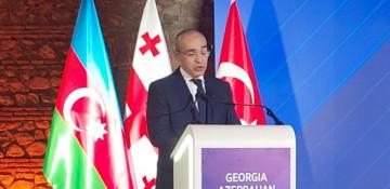 Azərbaycanın iqtisadiyyat naziri Gürcüstandakı biznes-forumda Xocalı soyqırımından danışıb