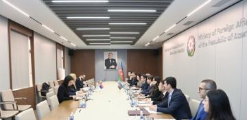 Baku hosts Azerbaijan–Serbia political consultations
