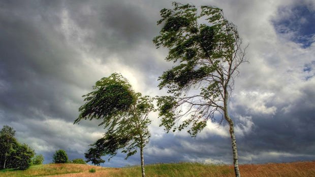 Milli Hidrometeorologiya Xidməti küləklə bağlı sarı xəbərdarlıq edib