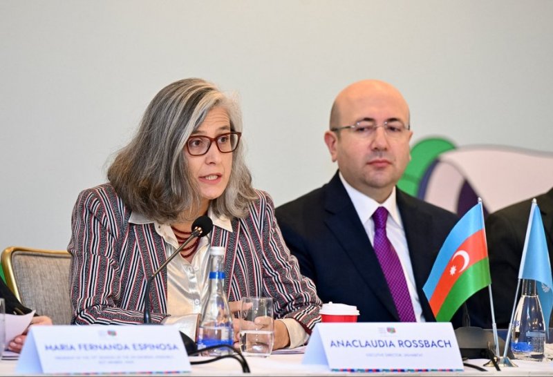UN-Habitat rəhbəri: Şəhərlərin qarşılaşdığı problemlər ictimaiyyətə çatdırılmalıdır