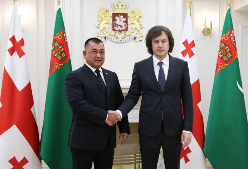 Gürcüstan və Türkmənistan rəsmiləri region məsələlərini müzakirə edib