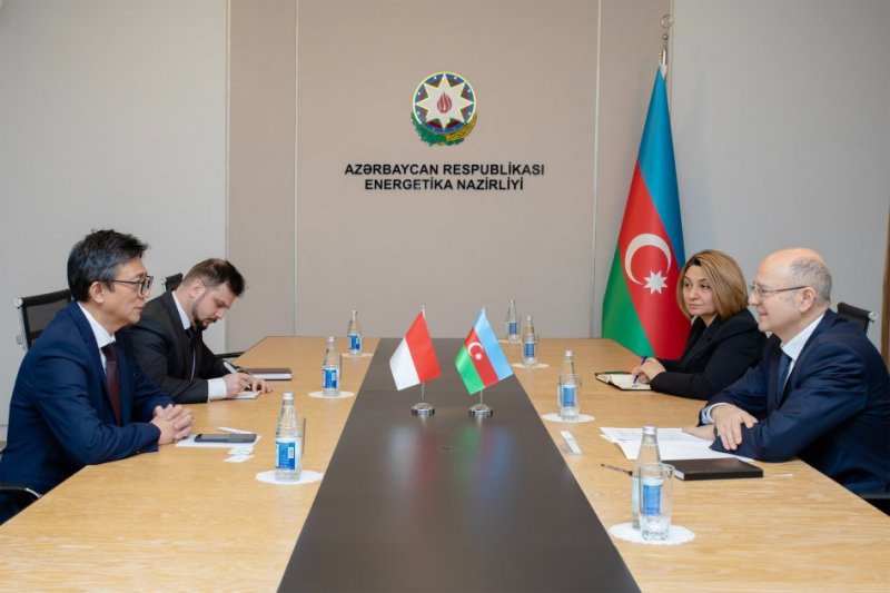 Azerbaijan, Indonesia discuss expanding energy cooperation
