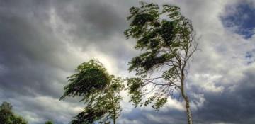 Milli Hidrometeorologiya Xidməti küləklə bağlı sarı xəbərdarlıq edib
