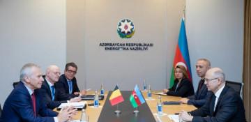 Azərbaycan ilə Belçika arasında “yaşıl enerji” əməkdaşlığı məsələləri müzakirə olunub