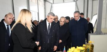 Xocavəndin Qırmızı Bazar qəsəbəsində yerləşən günəbaxan yağları zavoduna baxış keçirilib