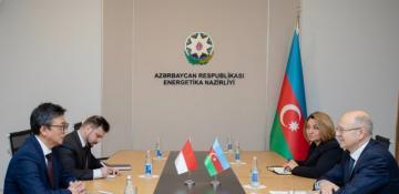 Azerbaijan, Indonesia discuss expanding energy cooperation