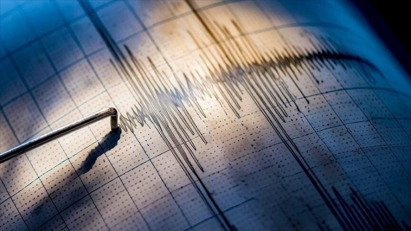 Tsunami observed, trains disrupted after powerful earthquake hits Japan
