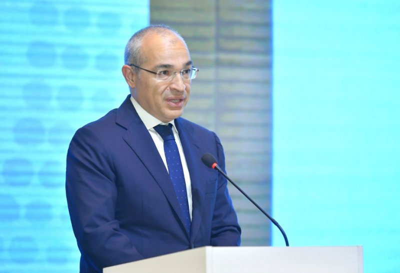   Azerbaijan developing new economic development model: Minister  