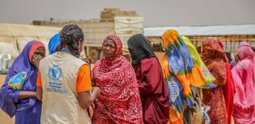 Çad 1,3 milyon sudanlı qaçqını qəbul edib