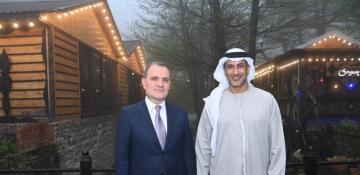 Azerbaijan, UAE boost economic and energy cooperation