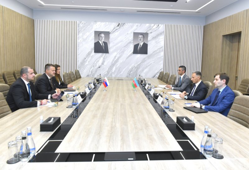 Azərbaycan və Slovakiya rəqəmsal inkişaf sahəsində əməkdaşlığı müzakirə edib