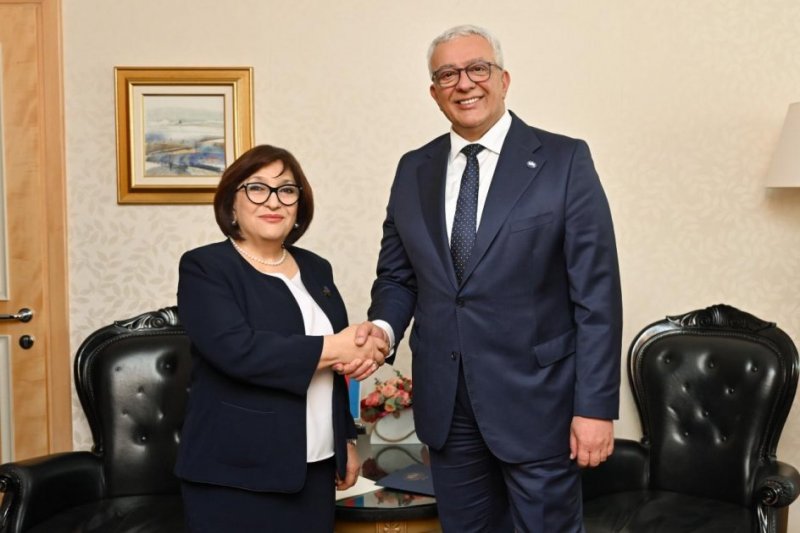Sahibə Qafarova Monteneqro parlamentinin sədri ilə görüşüb