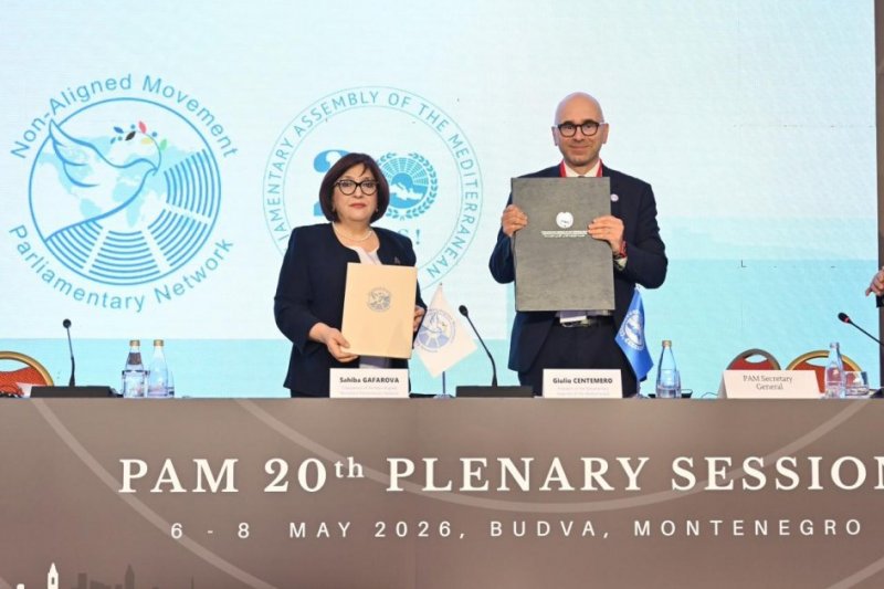 NAM Parliamentary Network, Parliamentary Assembly of Mediterranean ink MOU