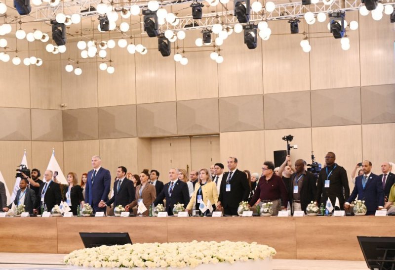 Azerbaijani representative elected Secretary-General of Global South NGO Platform