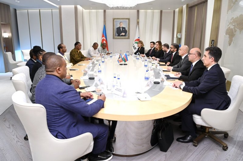   Azerbaijan's SOCAR, Eswatini explore energy cooperation prospects  