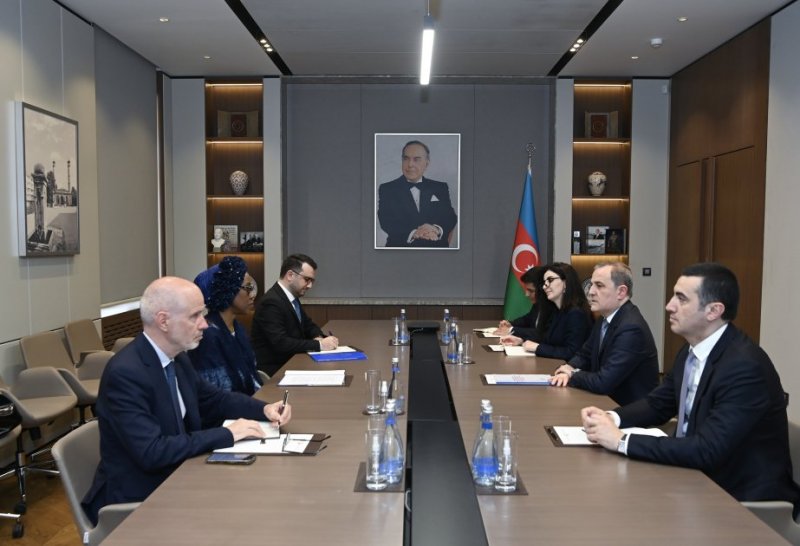 IOM deputy chief hails Azerbaijan's Great Return program