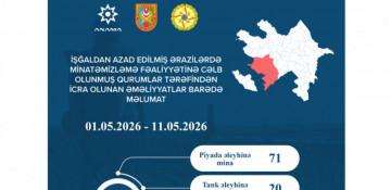 ANAMA: 91 mina və 440 digər partlayıcı sursat zərərsizləşdirilib