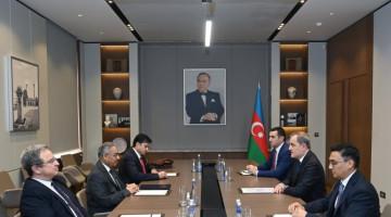 Ceyhun Bayramov D-8-in Baş katibi ilə görüşüb