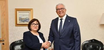 Sahibə Qafarova Monteneqro parlamentinin sədri ilə görüşüb