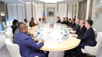   Azerbaijan's SOCAR, Eswatini explore energy cooperation prospects  