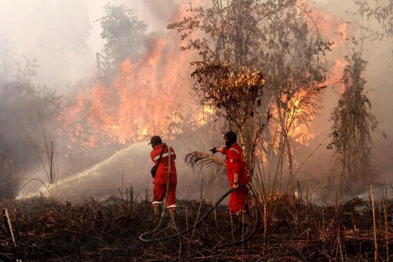 İndoneziyanın Riau əyalətində meşə yanğınlarına görə fövqəladə vəziyyət elan olunub