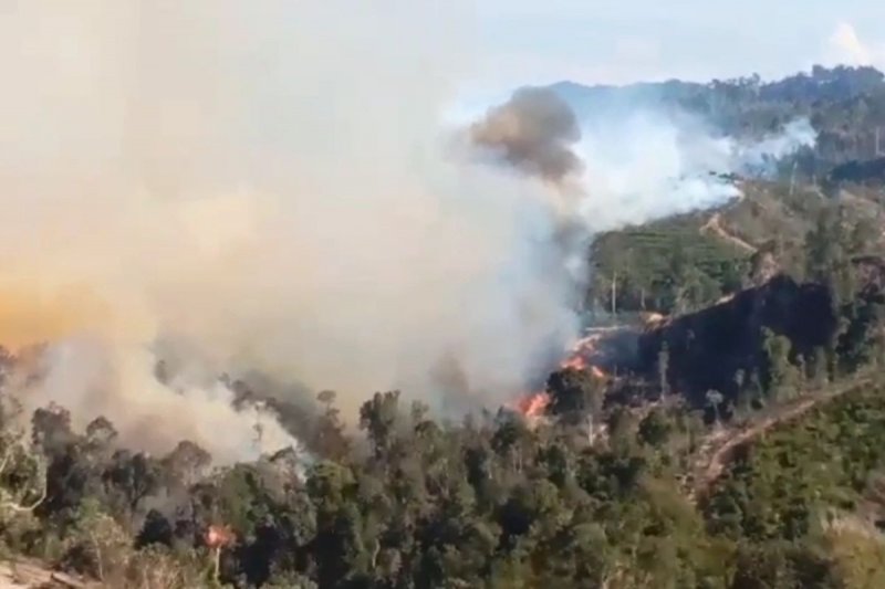 Indonesia's Riau puts 11 regions on forest fire alert