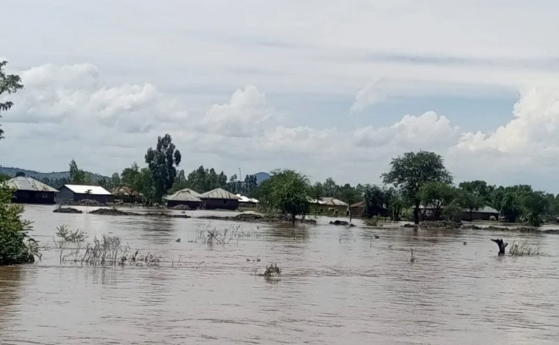 El Niño confirmed, set to fuel more extreme weather, says WMO
