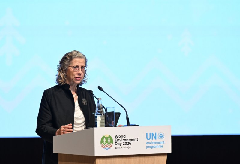 UNEP-in icraçı direktoru: Azərbaycan iqlim fəaliyyəti sahəsində mühüm və strateji rol oynamaqda davam edir