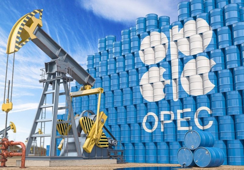 OPEC cuts 2026 oil demand growth forecast