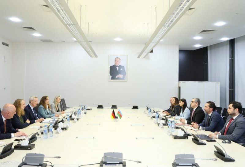 Azerbaijan-Germany Business Council may be established