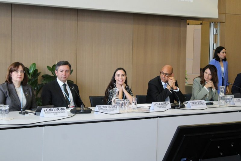 Leyla Aliyeva participates in Bonn discussion on environmental impact of Caspian Sea’s declining water level