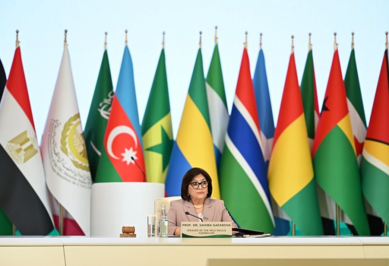 Islamic world must unite to address common challenges: Parliament speaker
