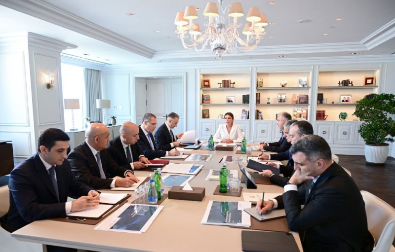   First VP Mehriban Aliyeva chairs first meeting of Digital Development Council  