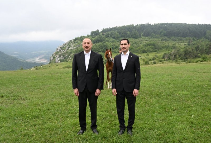 2026/06/3-1782218362.jpg + Azerbaijani president gifts Garabagh Horse to Turkmen counterpart News about - Azerbaijani president gifts Garabagh Horse to Turkmen counterpart