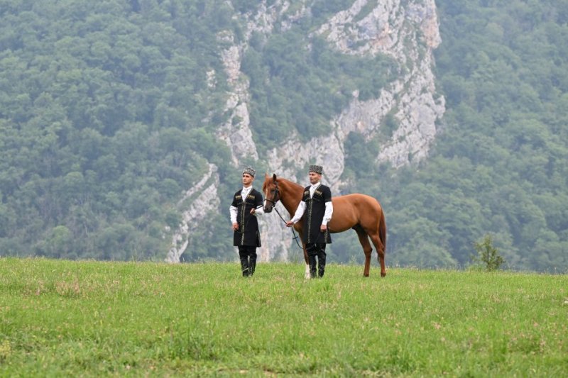 2026/06/3-1782218362.jpg + Azerbaijani president gifts Garabagh Horse to Turkmen counterpart News about - Azerbaijani president gifts Garabagh Horse to Turkmen counterpart