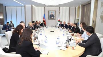 SOCAR 