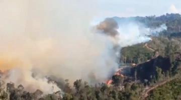 Indonesia's Riau puts 11 regions on forest fire alert