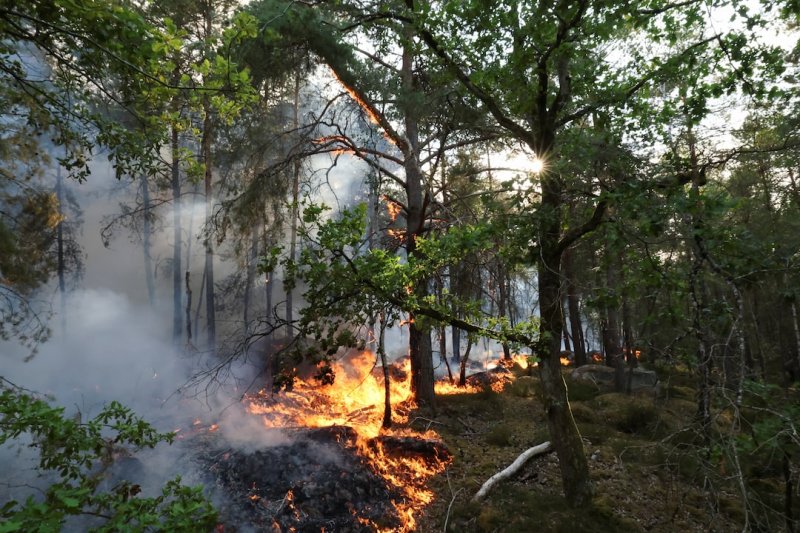 France wildfires spread as police arrest two suspected arsonists