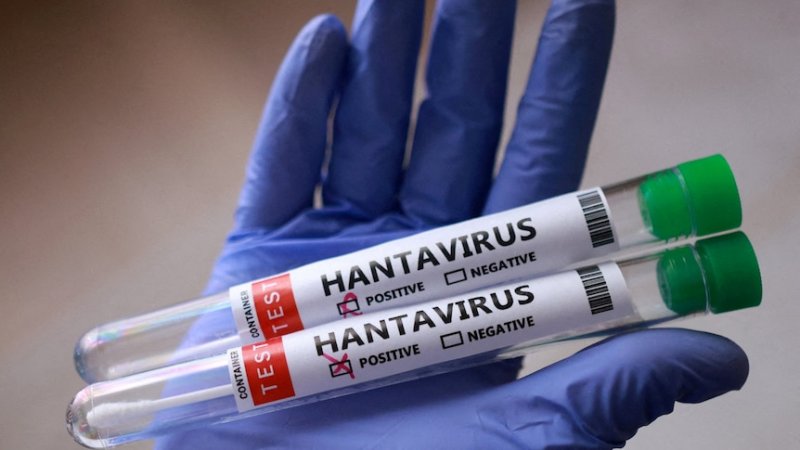 Venezuela confirms three deaths from hantavirus